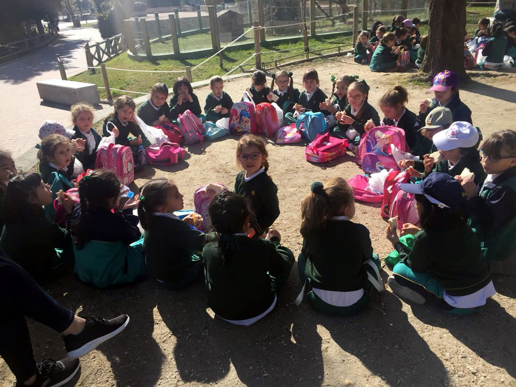 Infantil en el zoo