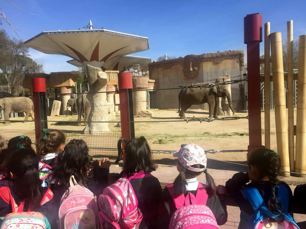 Infantil en el zoo