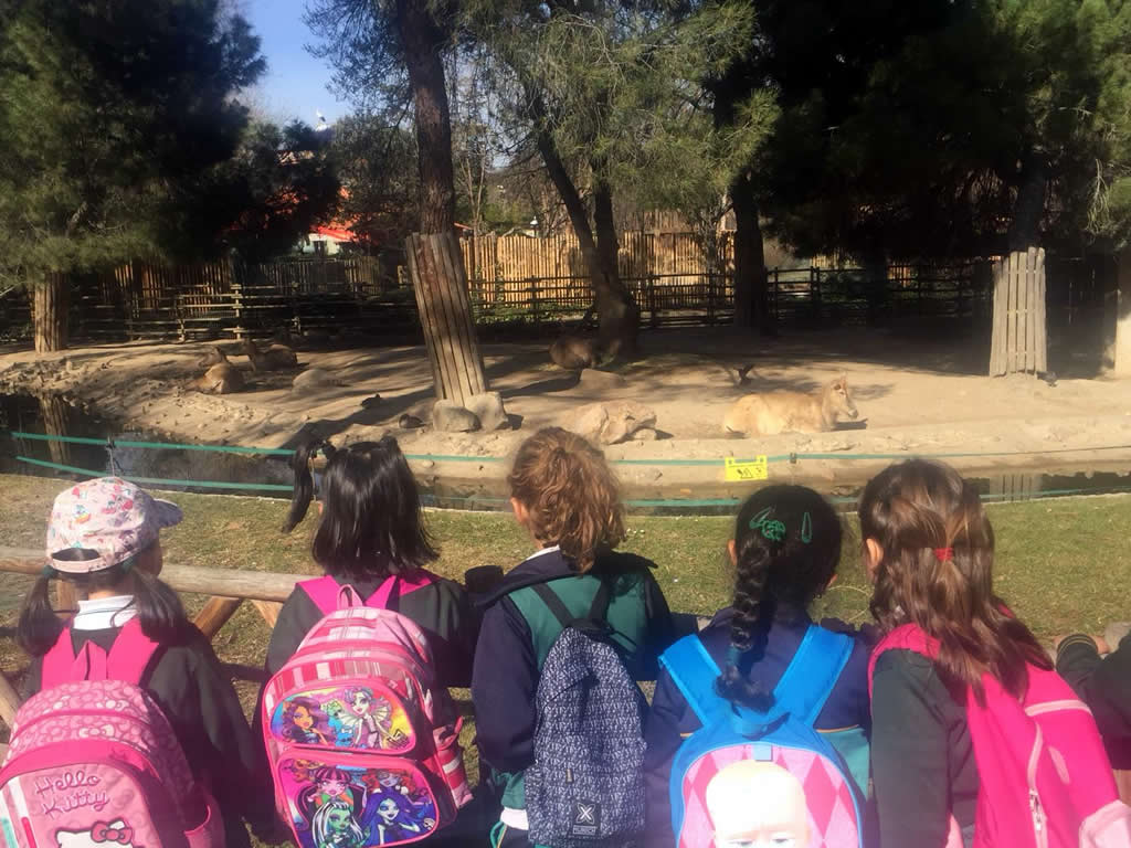 Infantil en el zoo