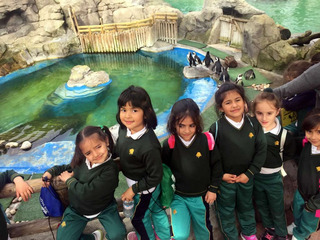 Infantil en el zoo